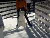 20190228_093154