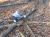20181116_093139