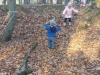 20181116_093145