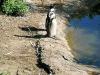 IMG-0c207326e7a8a3b3204d9776342ea462-V