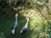 IMG-142f5c939f388bdee2d33519bb0aaaac-V