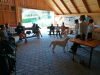 IMG-977a07a8068bb8549747fa4e5288162d-V