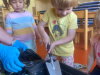 IMG-20230530-WA0027