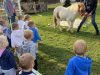 IMG-7107