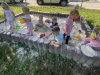 IMG-4049