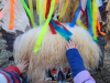1677101874718-pom