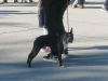 IMG_20221005_091742