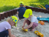 image_6483441-2