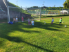image_6483441-7